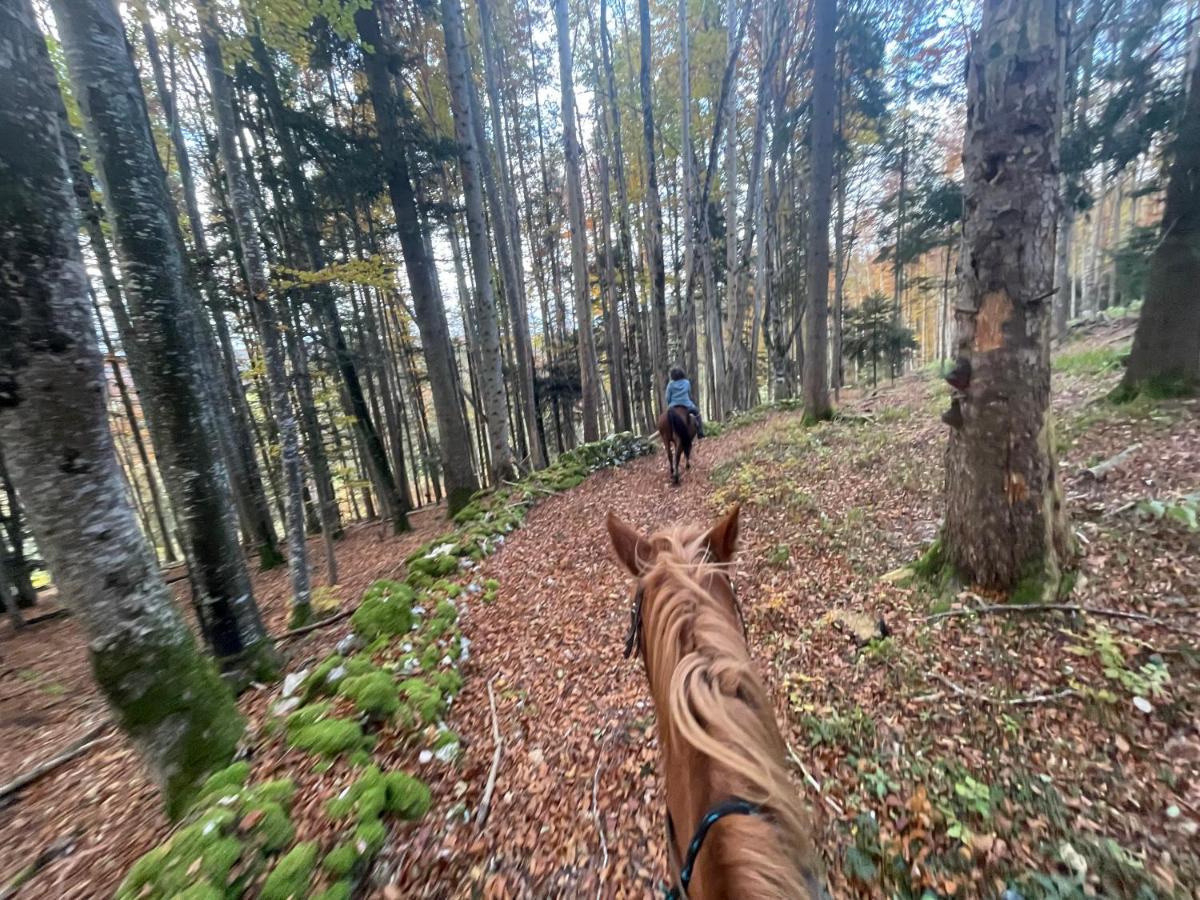 Miramont Horse Trekking Hostel Saicourt Kültér fotó