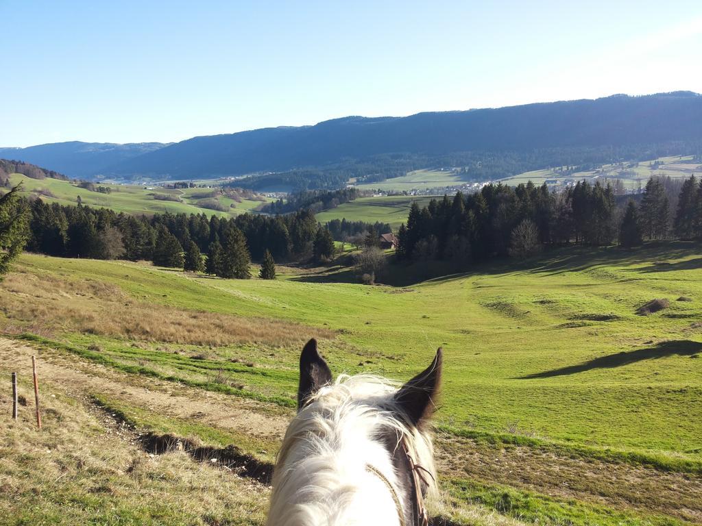Miramont Horse Trekking Hostel Saicourt Kültér fotó